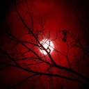 succubusfangs avatar