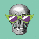 succulentdreamer505 avatar