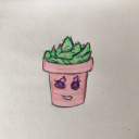 succulents-in-space avatar