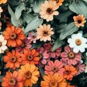 such-a-vonast avatar