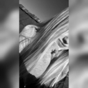 such-a-wonderful-poison avatar