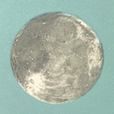 such-dull-elves avatar