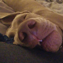 such-sweet-nothingz avatar