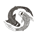 suchalovelysilence avatar