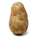 suchapotato avatar