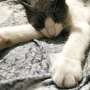 suchastrangemess avatar