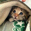 suchateenishlife-blog avatar