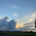 suchausuallgirl avatar