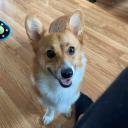 suchawonderfulday avatar