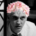 suchdracoverymalfoy avatar