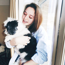 suchshananigans-blog-blog avatar