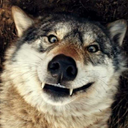 suchwolfverywow avatar