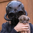 suckonmyslytherinpride avatar