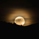 sucks2sucksworld avatar