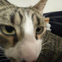 sucksyourassmar avatar