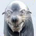 sudden-biscuit-attack avatar