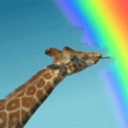 suddenly-swift avatar