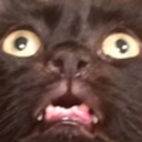 suddenlygiraffe avatar