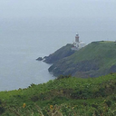 suddenlynextsummer avatar