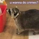 suddenlythereitwas avatar