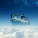 suddenspacefrog avatar