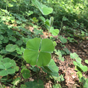 sufficientlyshook avatar