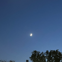 sufia-studies avatar