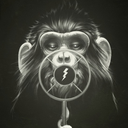 sufisoulselective avatar