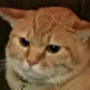 sugar-and-spite avatar