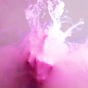 sugar-splenda avatar