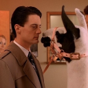 sugarcoatedlies616 avatar