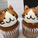 sugarfreesalt avatar