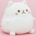 sugarholdthespice avatar