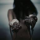 sugarinahurricane avatar