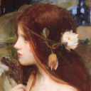 sugartothewound avatar