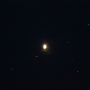 sugavamotteline avatar