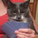 sugoi-kawaii-desu-ne avatar