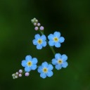 suheda34-blog1 avatar