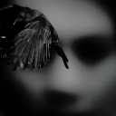 suicidalserenecontrol avatar