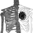 suicide-daydream-blog avatar