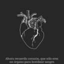 suicide-dreamer avatar