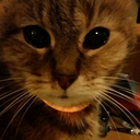 suicide-is-my-aesthetic avatar