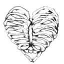 suicidebirdxoxo avatar