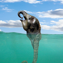 suicidebyimitation avatar