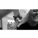 suicideisjustthebeginningg avatar