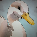 suitablyskippy avatar