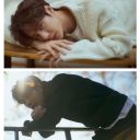 sukkie05-blog avatar