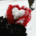 sukuna-darling avatar