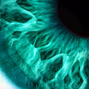 sulainasworld avatar