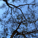 sullenessence avatar